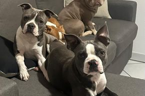 Oh,dürfen wir hier aufs Sofa ,-)