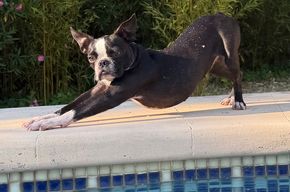 Yoga am Pool ein absolutes muss