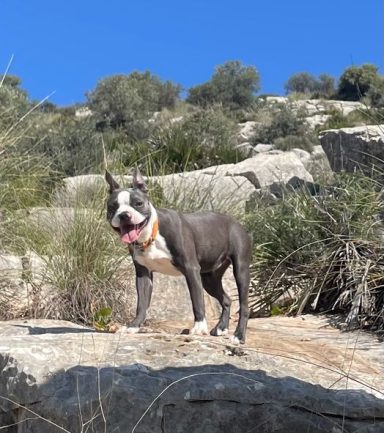 Vronie in den Bergen Spaniens